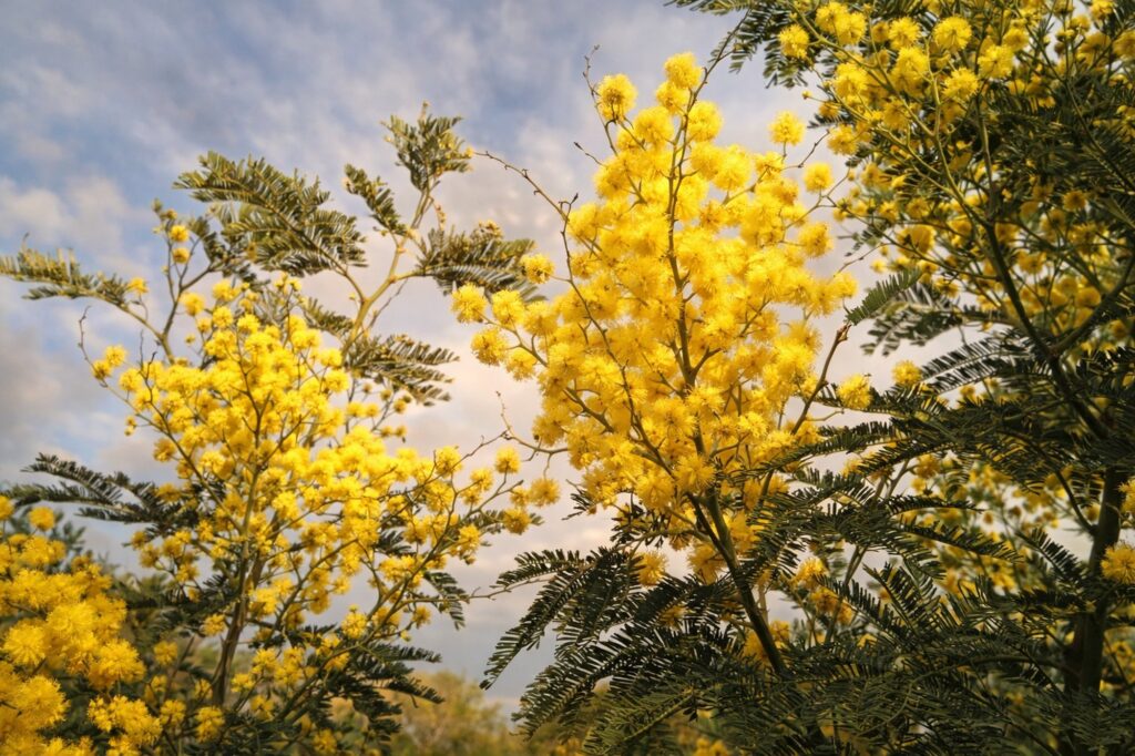 actions-en-faveur-de-lenvironnement-camping-la-campiere