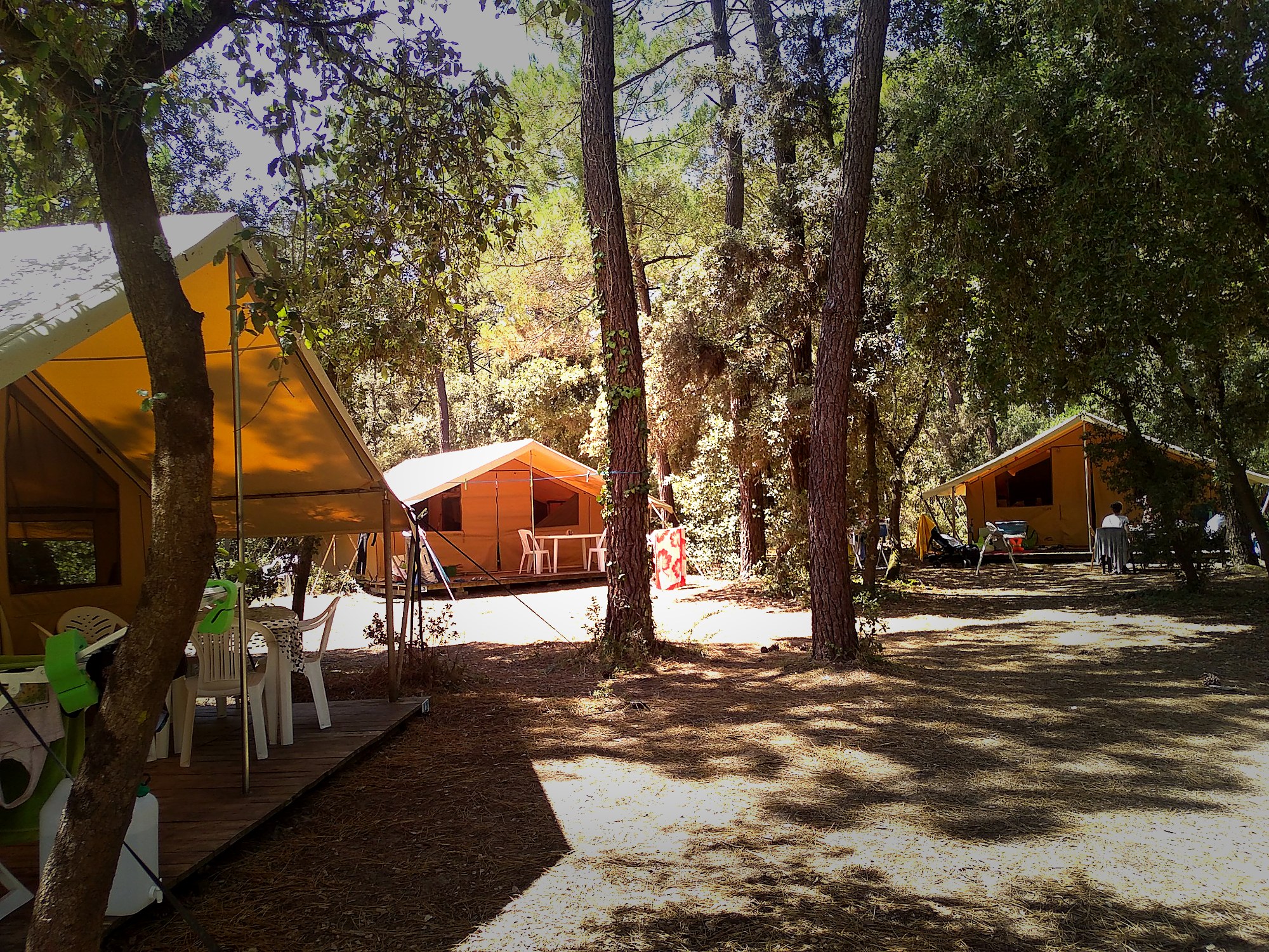 le-tentes-lodges-du-camping-la-campiere