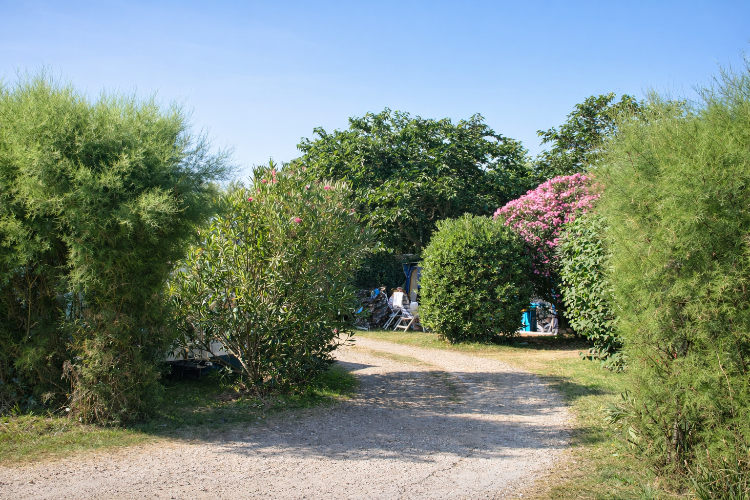 camping-la-campiere-emplacements-arbores