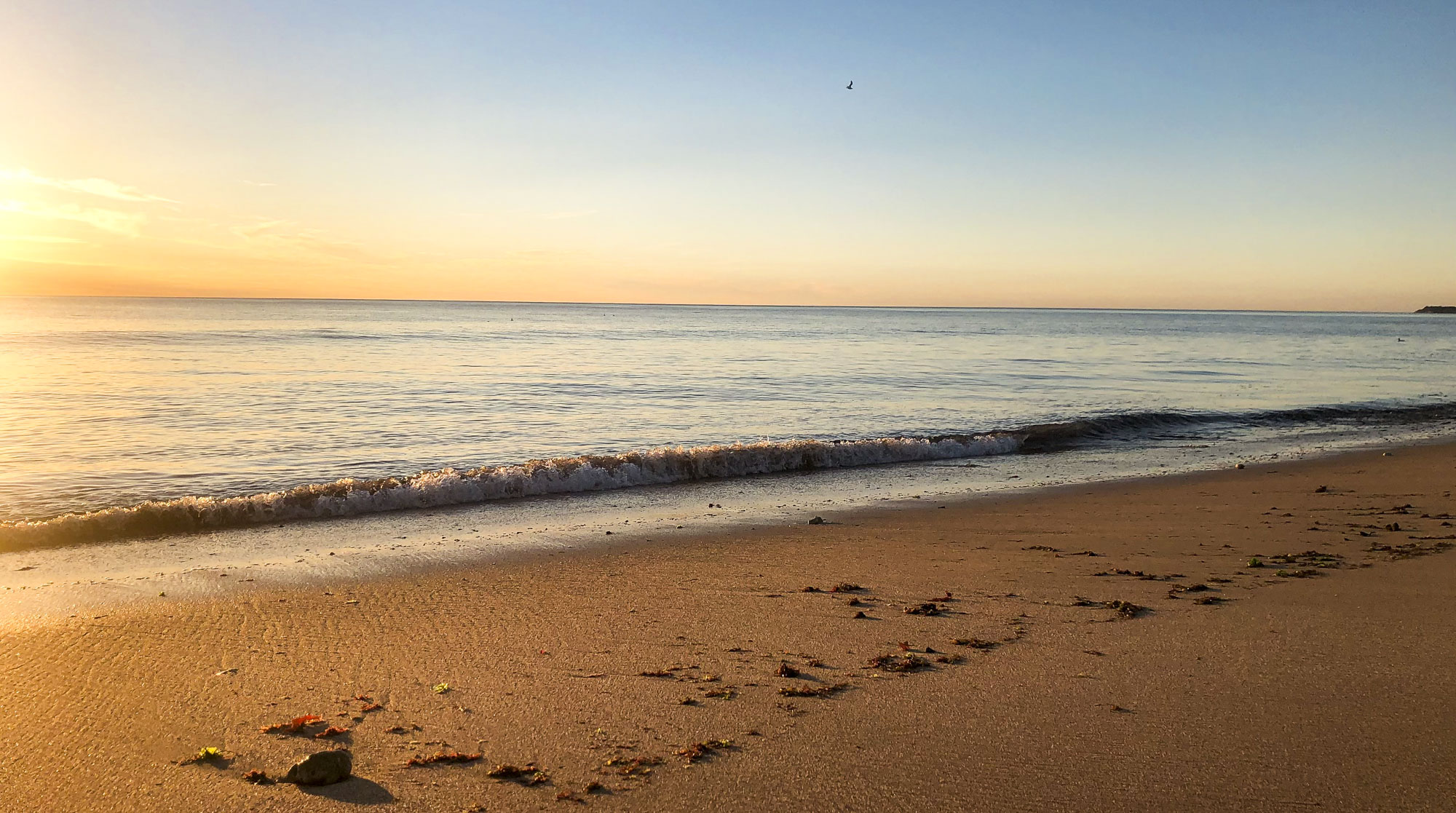 camping-la-campiere-la-plus-belle-plage-surveillee-de-lile-doleron